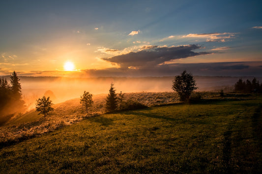 Peaceful sunrise over open water representing hope quiet struggle and the beginning of a healing journey