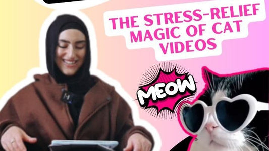 The Stress Relief of Magic Cats: Unwind with Adorable Cat Videos